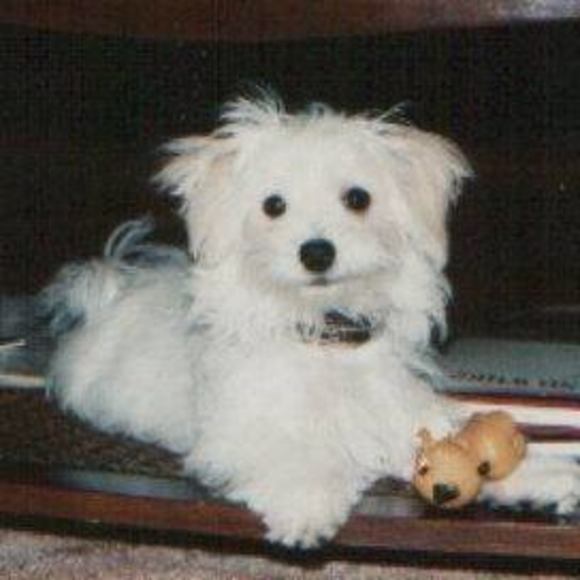 Meet your Posher, Sandra - Picture 1 of 1